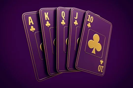 BBZ Poker آن لائن کیسینو میں کھیلنے کی وجوہات